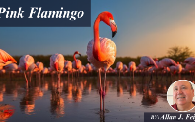 Pink Flamingo